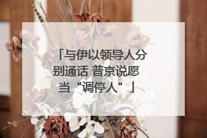 与伊以领导人分别通话 普京说愿当“调停人”