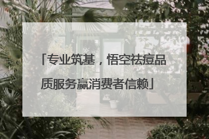 专业筑基，悟空祛痘品质服务赢消费者信赖