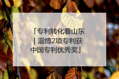 专利转化看山东｜淄博2项专利获中国专利优秀奖