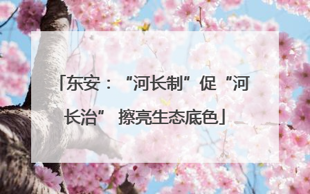 东安：“河长制”促“河长治” 擦亮生态底色