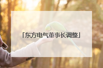 东方电气董事长调整
