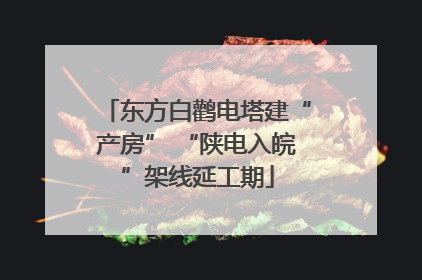 东方白鹳电塔建“产房” “陕电入皖”架线延工期