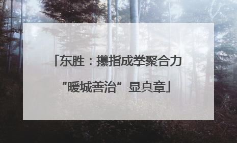 东胜：攥指成拳聚合力 “暖城善治”显真章