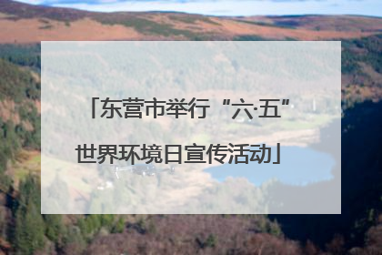 东营市举行“六·五”世界环境日宣传活动