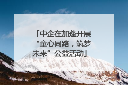 中企在加蓬开展“童心同路，筑梦未来”公益活动