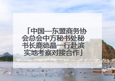 中国—东盟商务协会总会中方秘书处秘书长鹿德晶一行赴滨实地考察对接合作