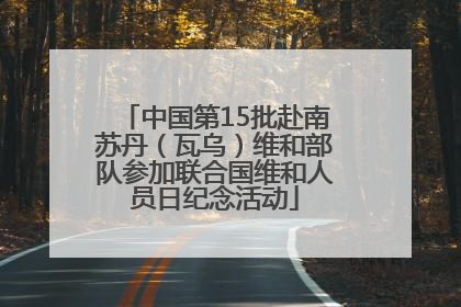 中国第15批赴南苏丹（瓦乌）维和部队参加联合国维和人员日纪念活动