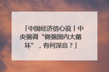 中国经济信心说丨中央强调“做强国内大循环”，有何深意？