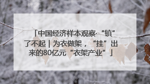 中国经济样本观察·“镇”了不起｜为衣做架，“挂”出来的80亿元“衣架产业”