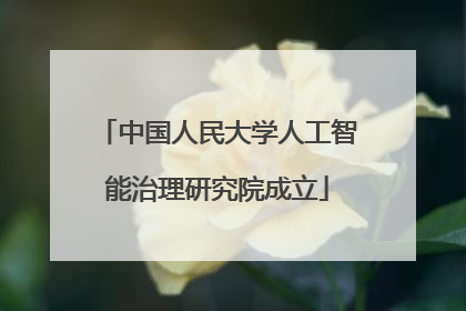 中国人民大学人工智能治理研究院成立