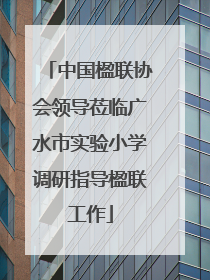 中国楹联协会领导莅临广水市实验小学调研指导楹联工作