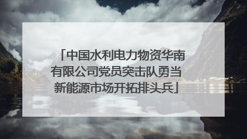 中国水利电力物资华南有限公司党员突击队勇当新能源市场开拓排头兵