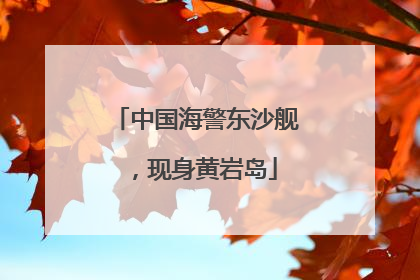 中国海警东沙舰，现身黄岩岛