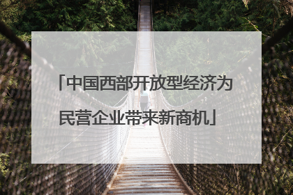 中国西部开放型经济为民营企业带来新商机