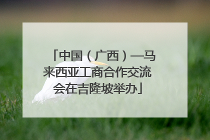 中国（广西）—马来西亚工商合作交流会在吉隆坡举办