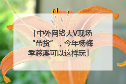 中外网络大V现场“带货”，今年杨梅季慈溪可以这样玩