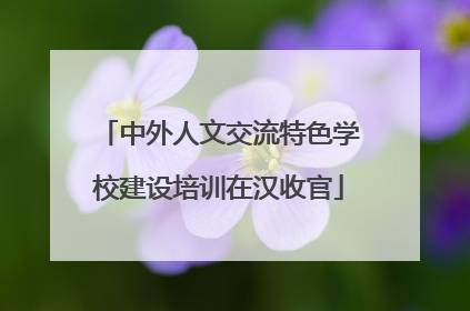 中外人文交流特色学校建设培训在汉收官