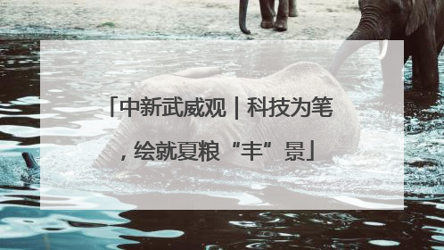 中新武威观｜科技为笔，绘就夏粮“丰”景