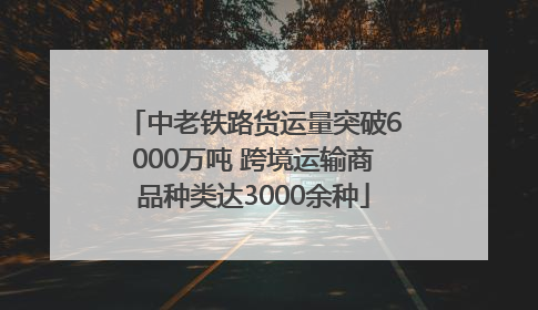 中老铁路货运量突破6000万吨 跨境运输商品种类达3000余种