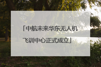 中航未来华东无人机飞训中心正式成立
