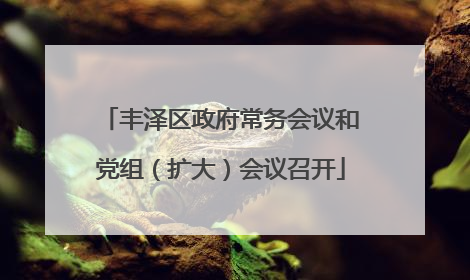 丰泽区政府常务会议和党组（扩大）会议召开