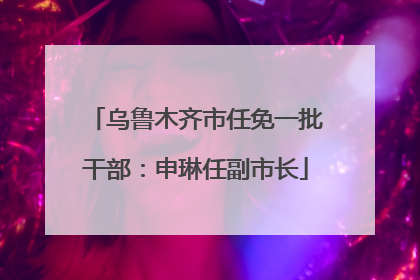 乌鲁木齐市任免一批干部：申琳任副市长