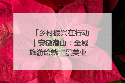 乡村振兴在行动｜安徽潜山：全域旅游绘就“景美业兴民富”新画卷