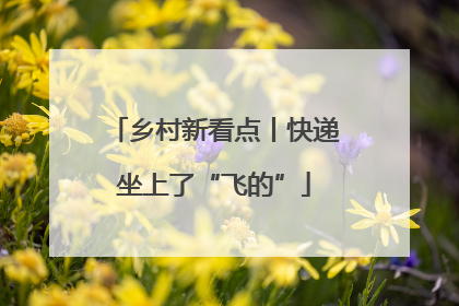 乡村新看点丨快递坐上了“飞的”