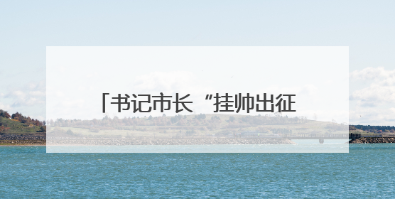 书记市长“挂帅出征” 杭州催动“小龙们”向AI高地进发