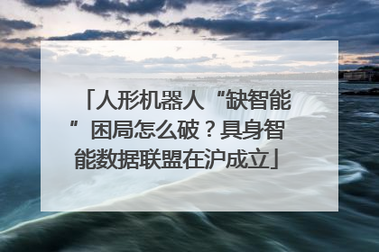 人形机器人“缺智能”困局怎么破？具身智能数据联盟在沪成立