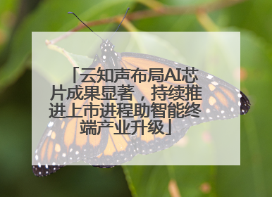 云知声布局AI芯片成果显著，持续推进上市进程助智能终端产业升级
