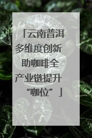 云南普洱多维度创新 助咖啡全产业链提升“咖位”