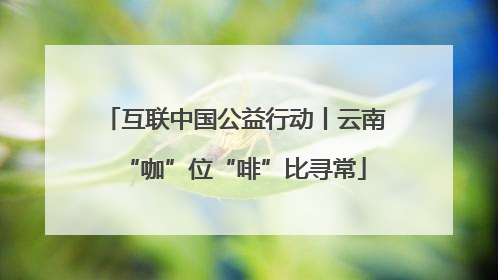 互联中国公益行动丨云南“咖”位“啡”比寻常
