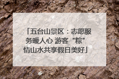 五台山景区：志愿服务暖人心 游客“粽”情山水共享假日美好