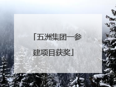 五洲集团一参建项目获奖