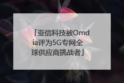 亚信科技被Omdia评为5G专网全球供应商挑战者
