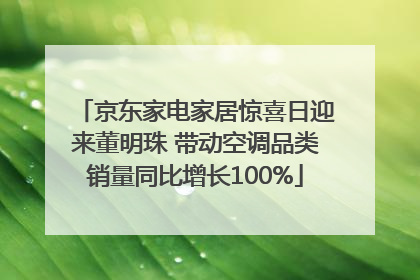 京东家电家居惊喜日迎来董明珠 带动空调品类销量同比增长100%