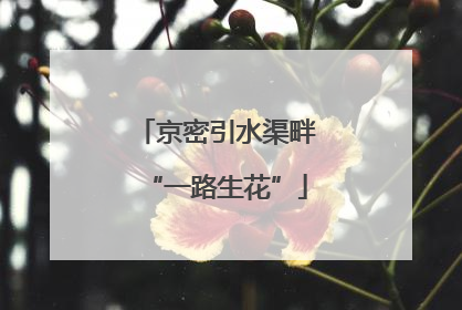 京密引水渠畔“一路生花”