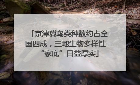 京津冀鸟类种数约占全国四成，三地生物多样性“家底”日益厚实