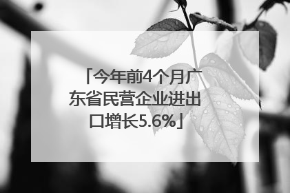 今年前4个月广东省民营企业进出口增长5.6%