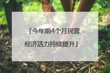 今年前4个月民营经济活力持续提升