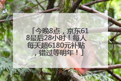 今晚8点，京东618最后28小时！每人每天超6180元补贴，错过等明年！