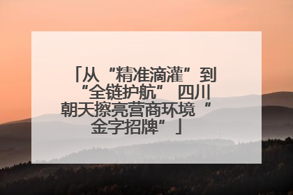 从“精准滴灌”到“全链护航” 四川朝天擦亮营商环境“金字招牌”