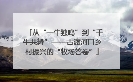 从“一牛独鸣”到“千牛共舞”——古渡河口乡村振兴的“牧场答卷”