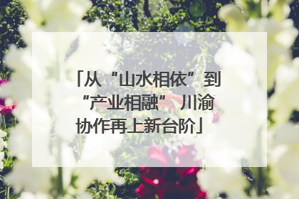 从“山水相依”到“产业相融” 川渝协作再上新台阶