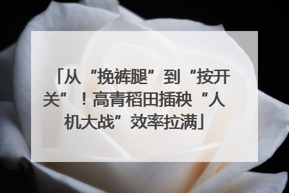 从“挽裤腿”到“按开关”！高青稻田插秧“人机大战”效率拉满