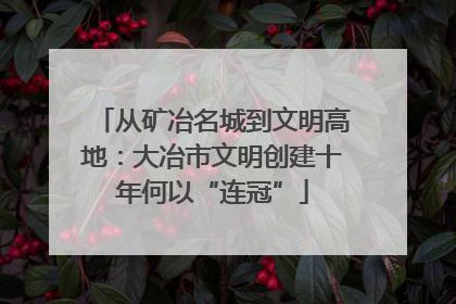 从矿冶名城到文明高地：大冶市文明创建十年何以“连冠”