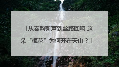 从秦韵新声到丝路回响 这朵“梅花”为何开在天山？