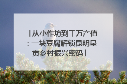从小作坊到千万产值：一块豆腐解锁昆明呈贡乡村振兴密码