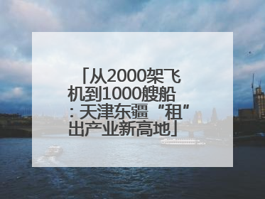 从2000架飞机到1000艘船：天津东疆“租”出产业新高地